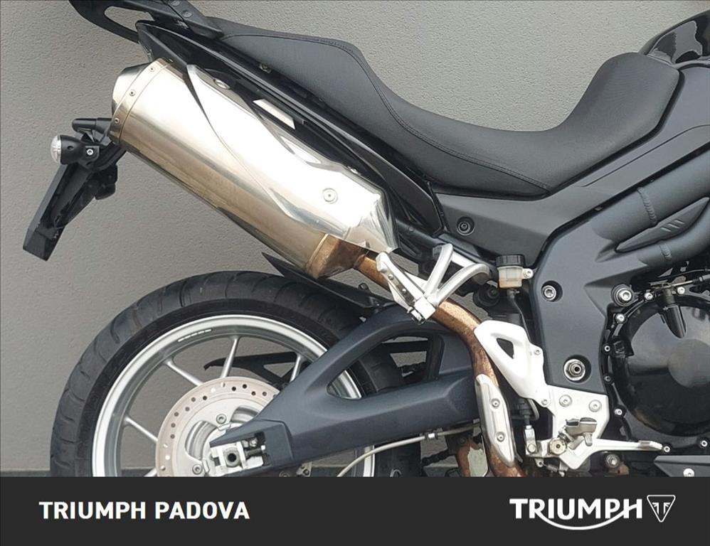 TRIUMPH Tiger 1050 - 2008 - immagine 2