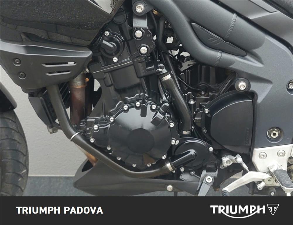 TRIUMPH Tiger 1050 - 2008 - immagine 8