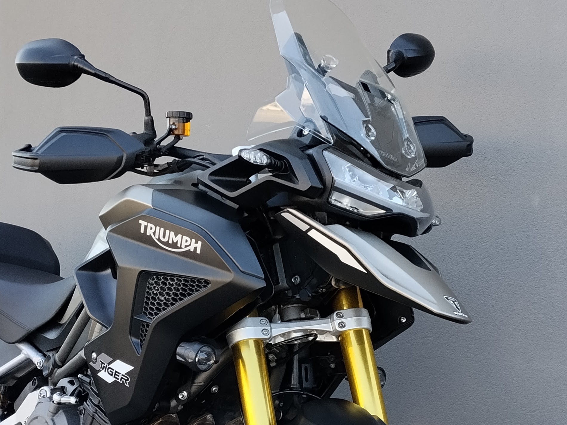 TRIUMPH Tiger 1200 Rally Pro Abs - 2024 - immagine 5