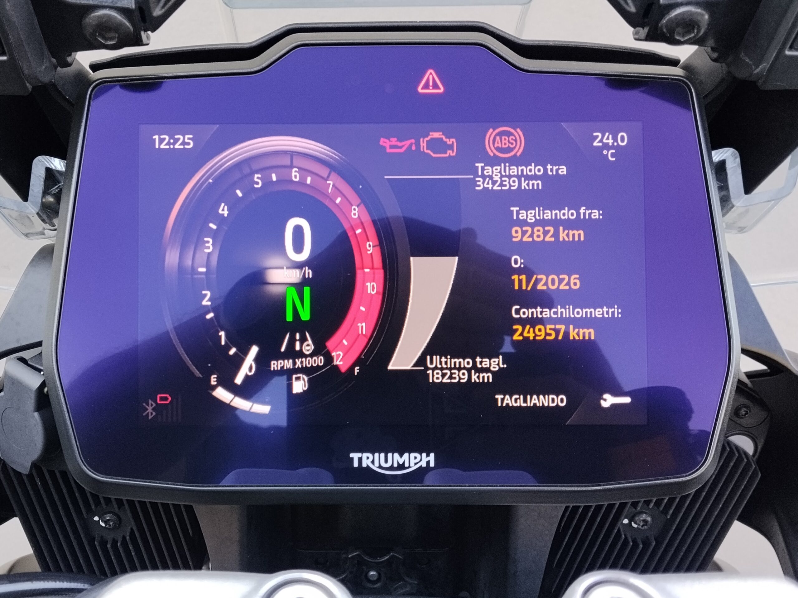 TRIUMPH Tiger 1200 Rally Pro Abs - 2024 - immagine 13